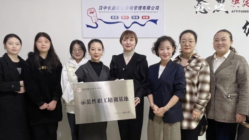 中小企业薪酬绩效咨询方案：解码高效激励之道**